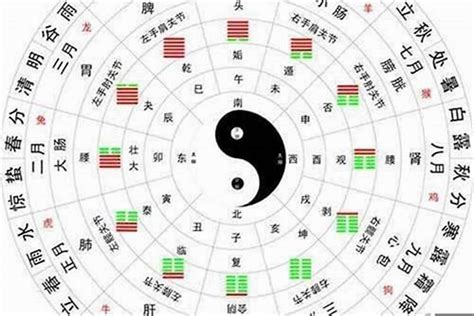 眼睛五行|眼睛是火还是木？八字中这个器官的五行要这样确定 –